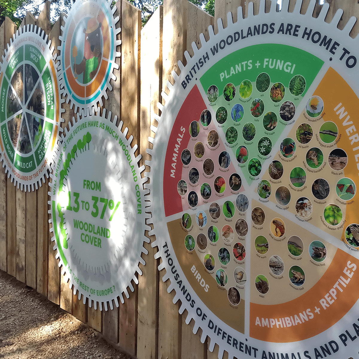 Interlocking circular panels about the importance and the biodiversity of woodlands