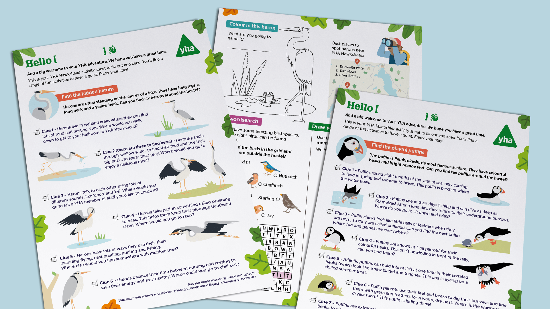 Colourful illustrated activity sheets about birds, one for YHA Hawkshead featuring herons and one for YHA Manorbier featuring puffins