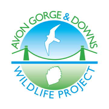 Logo Avon Gorge & Downs Wildlife Project