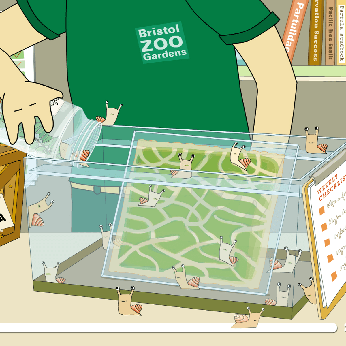 Animation still showing a member of staff looking after a group of little Partula snails in a glass tank inside the zoo Partula breeding room