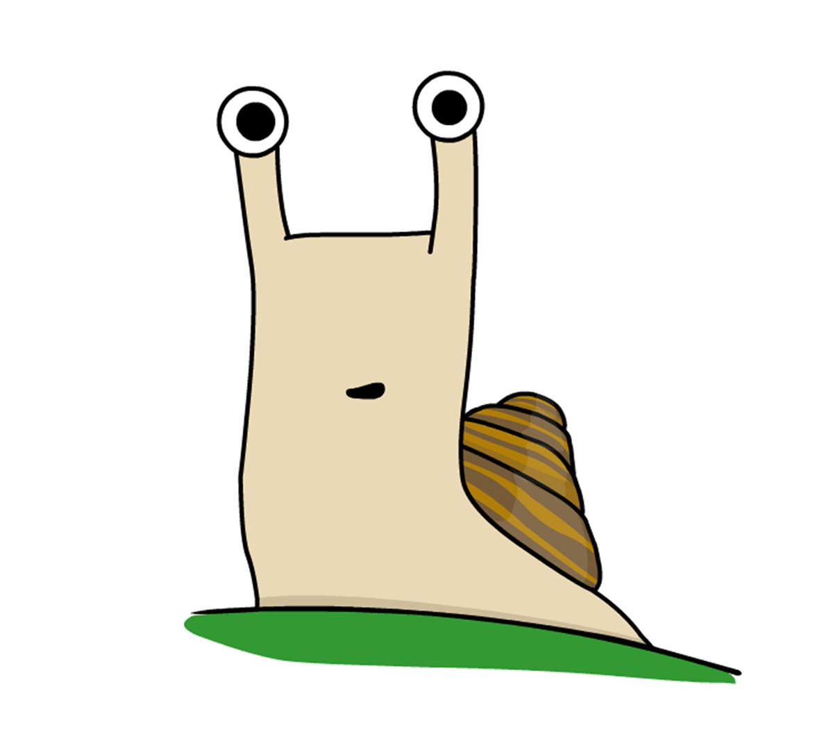 Cute cartoon snail on a white background