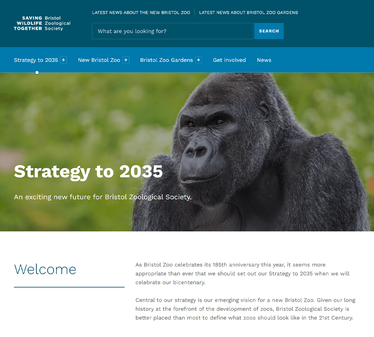 Strategy to 2035 homepage screenshot showing dark blue navigation bar at top and a portrait photograph of a Western lowland gorilla